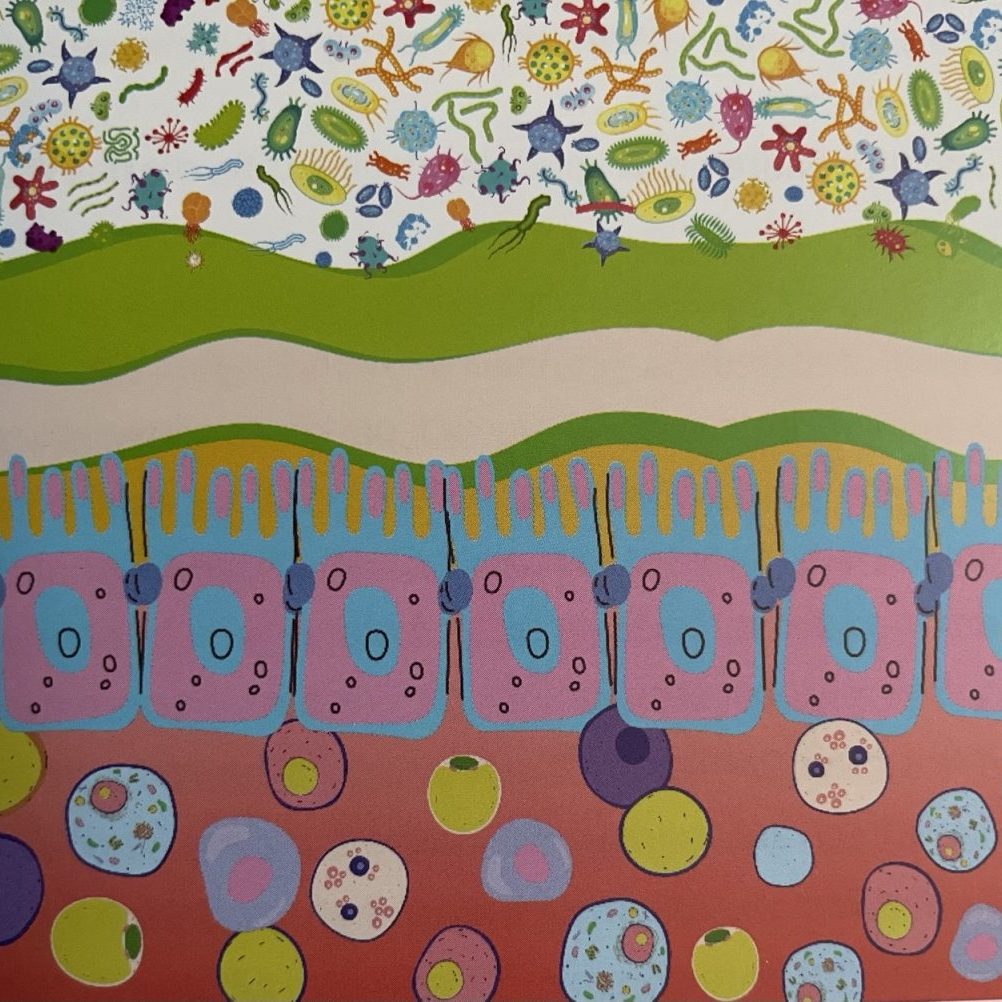 IMG_20251124_144557_470