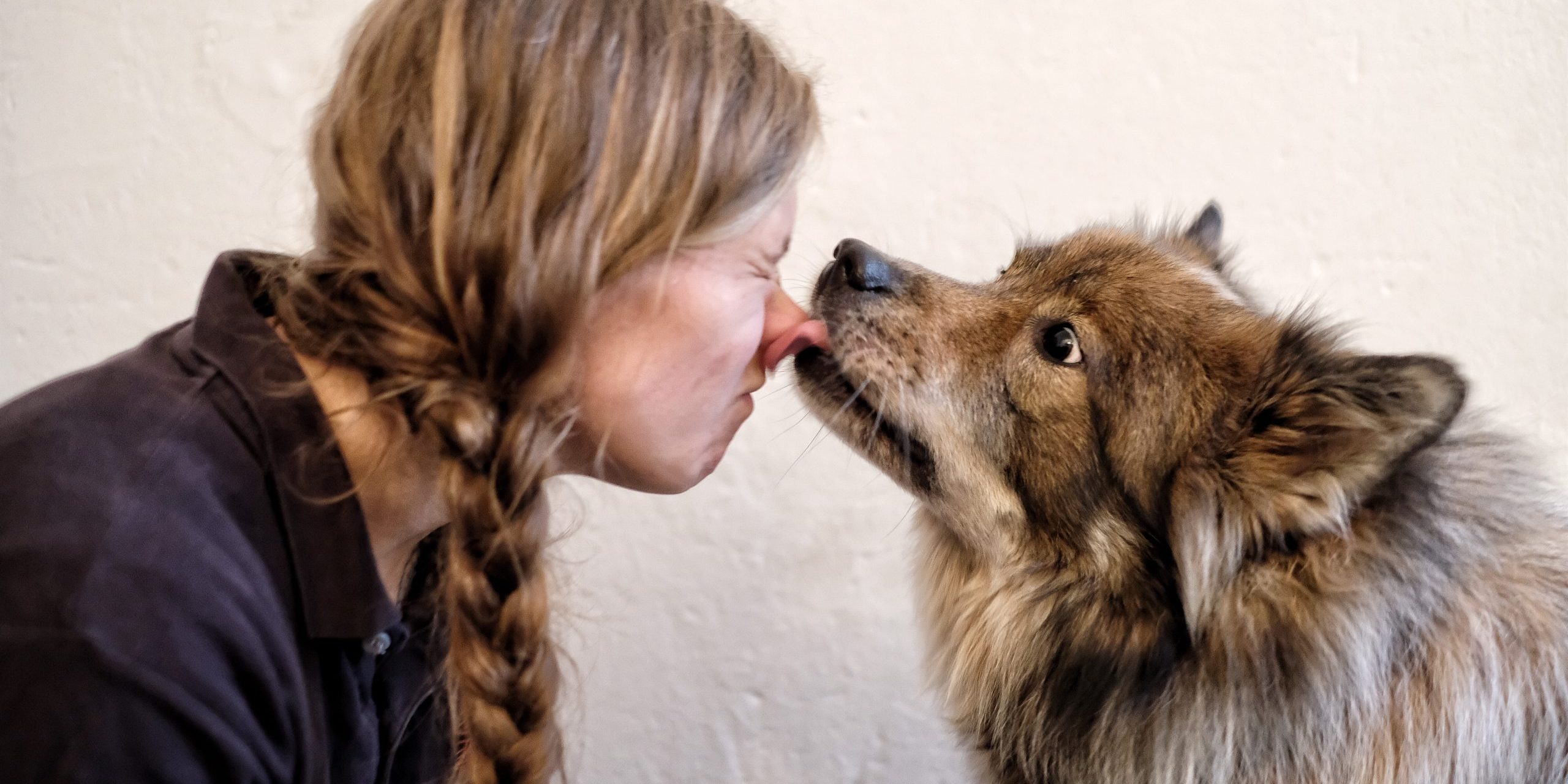 alternative Heilmethoden für Tiere - Nina Jeschke, Tierheilpraktikerin - Hundeakupunktur